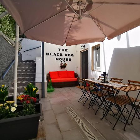 The Black Dog House Valenzano Exterior photo
